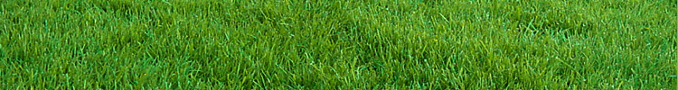 Thompson Landscapes - Landscaping, Irrigation & Garden Services of Grand Cayman
